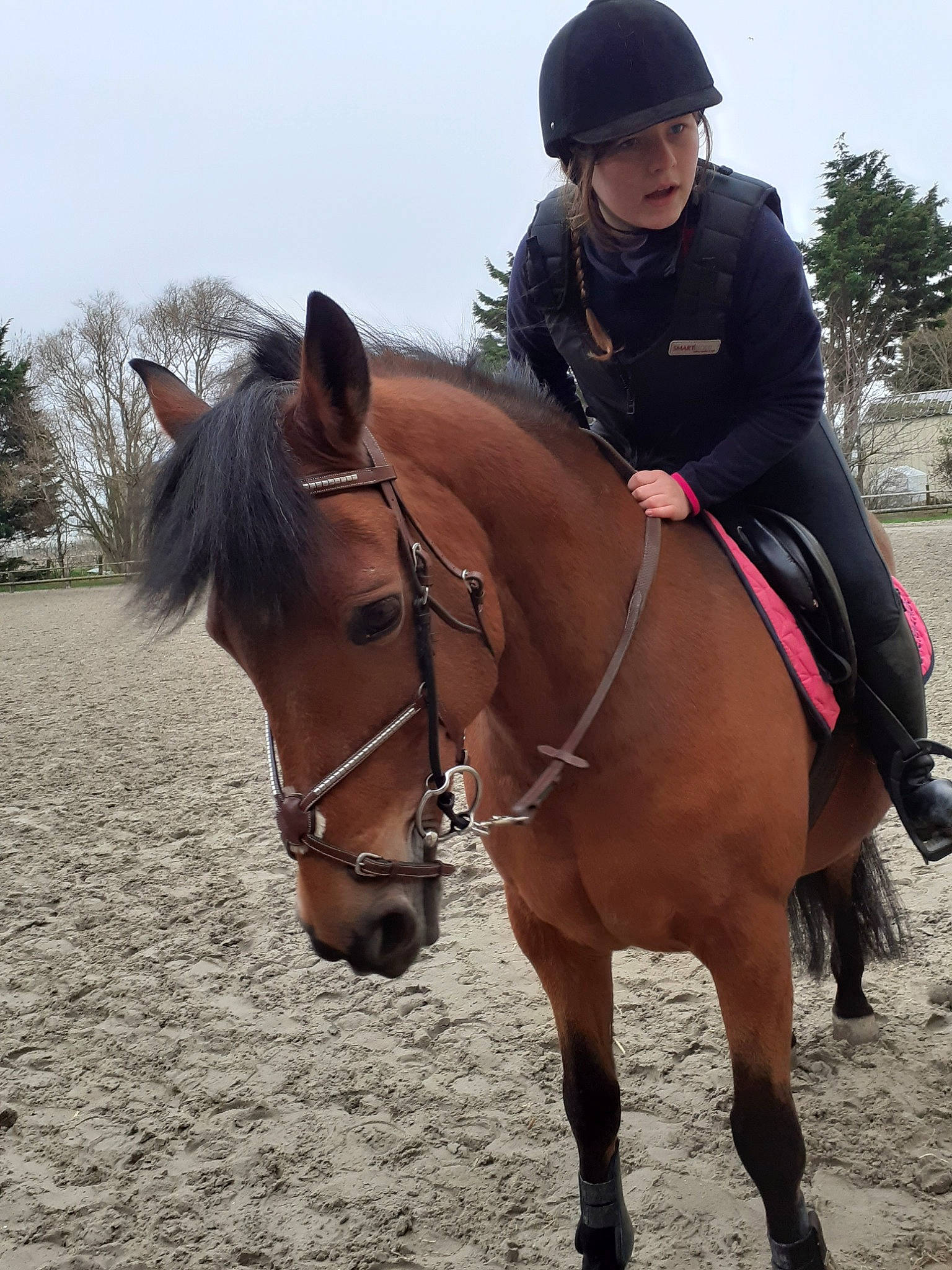 Shérazade a rejoint le concours — aidez-le/la à gagner de superbes lots ! animal_sports, bridle, equestrian, equestrian_helmet, equestrian_sport, equestrianism, equitation, halter, headwear, horse, horse_supplies, horse_tack, hunt_seat, mammal, mane, mare, outdoor_recreation, person, recreation, rein