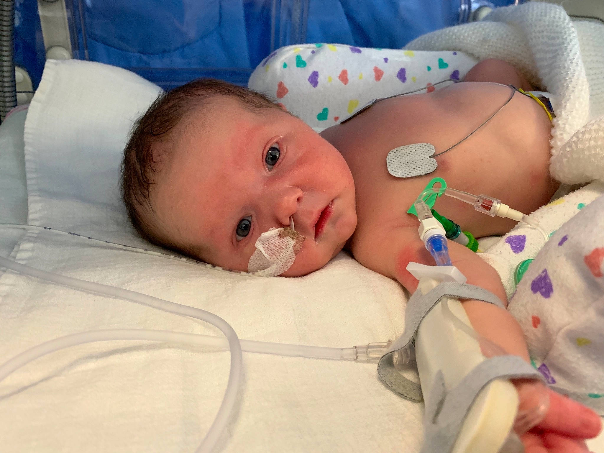 Bertie is registered to the contest to win money with this photo: baby, baby_products, baby_safety, baby_sleeping, bedtime, birth, cheek, child, childbirth, mouth, person, product, skin, sleep, toddler