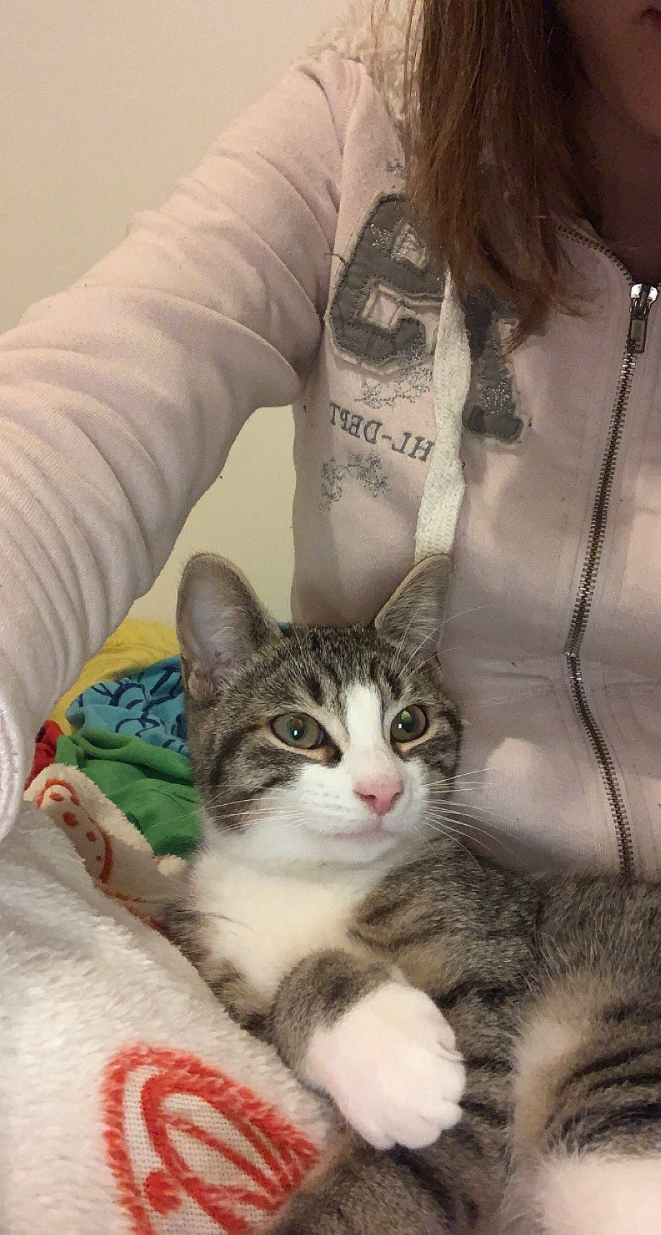 Toscane participe au concours pour gagner de l'argent avec cette photo : carnivore, cat, comfort, domestic_short_haired_cat, felidae, fur, human_leg, jewellery, linens, pattern, paw, sitting, sleeve, small_to_medium_sized_cats, snout, tail, textile, tree, whiskers