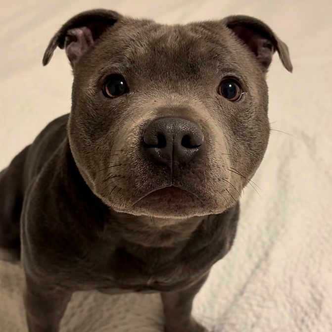 Spike