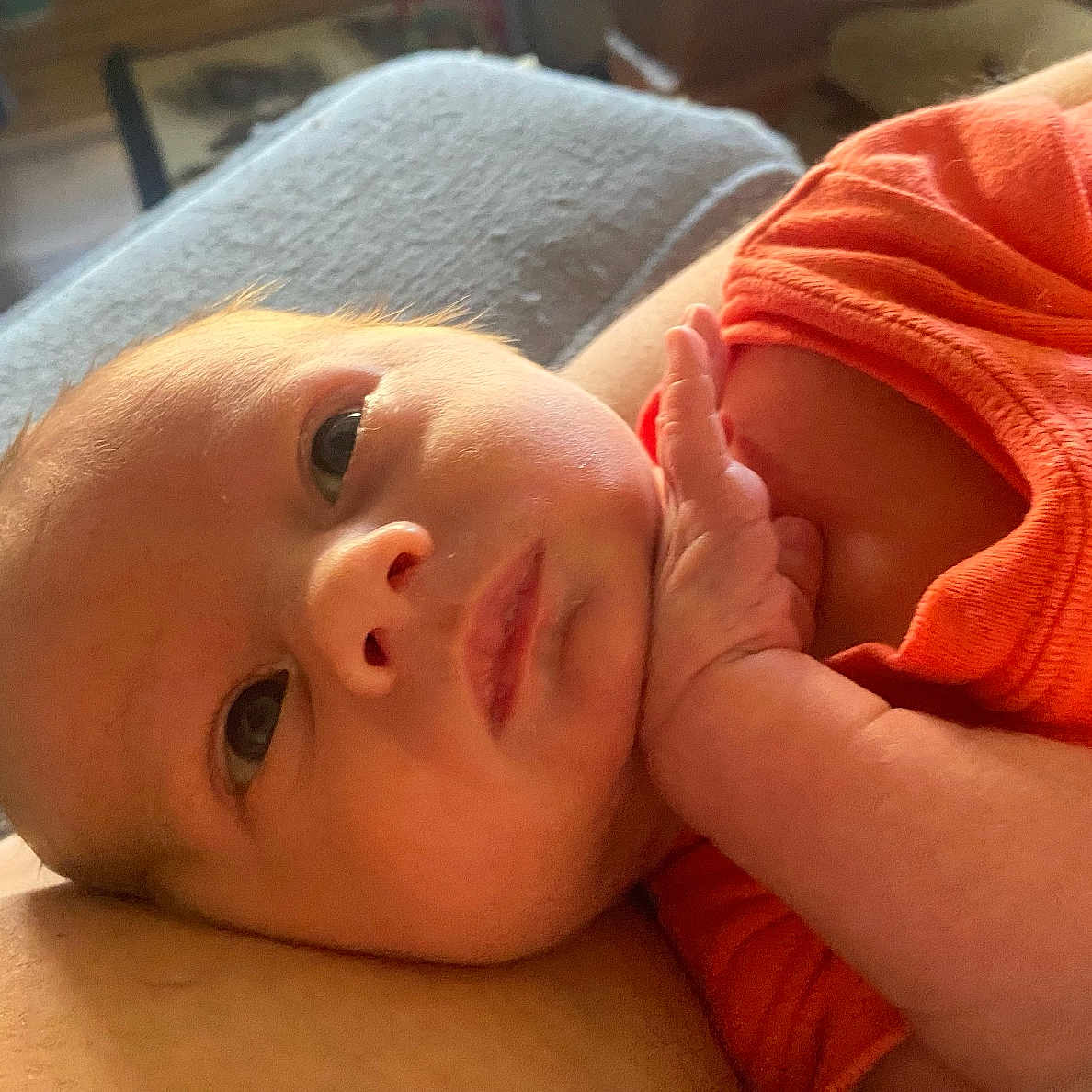 Noah joined the competition — help win amazing prizes! arm, baby, closeup, cozy, cute, expression, face, hand, human, indoors, infant, newborn, orange_clothing, peaceful, person, portrait, resting, skin, sleepy, soft_light