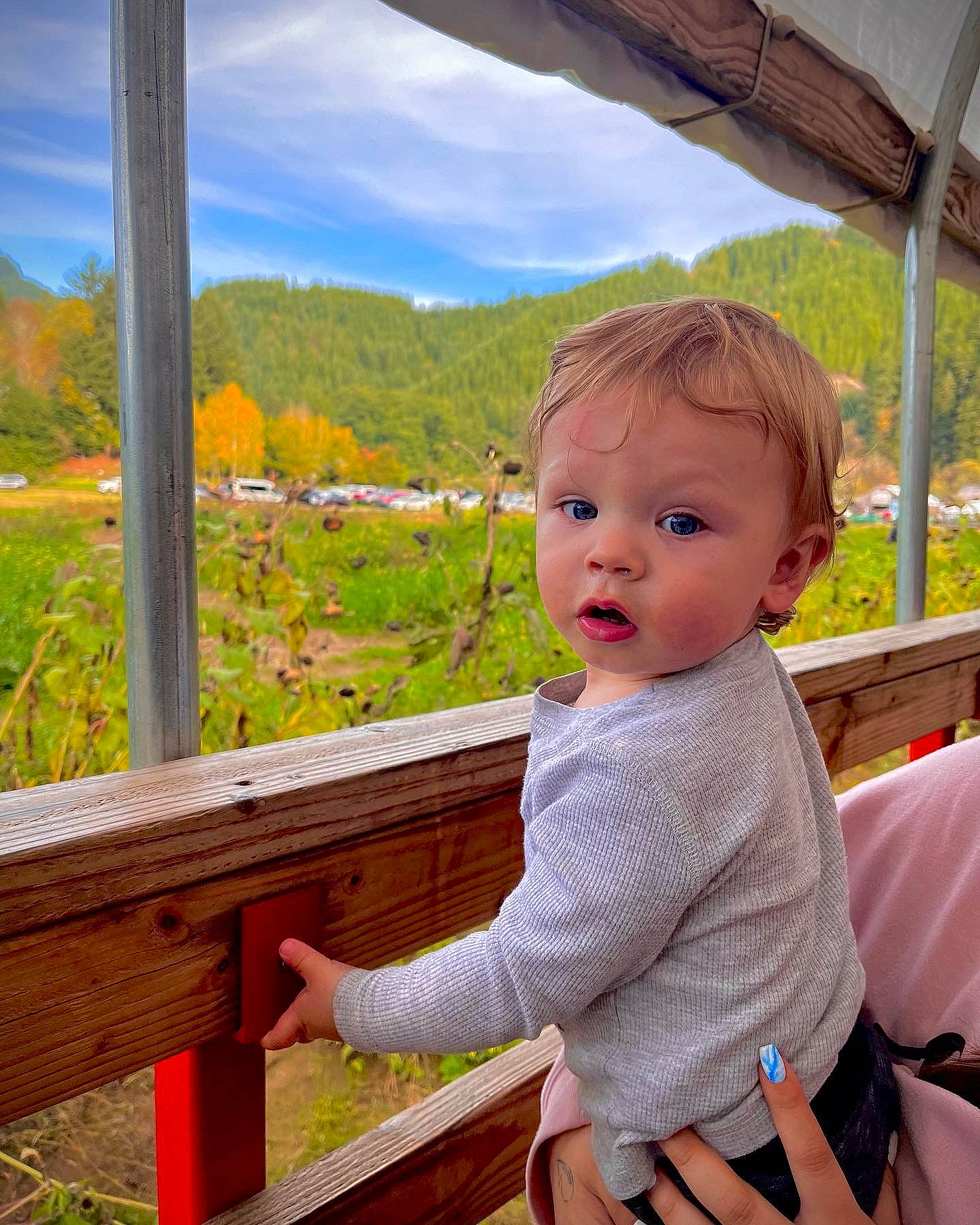 Asher joined the competition — help win amazing prizes! baby, baby_toddler_clothing, child, cloud, fun, grass, happy, leaf, leisure, person, plant, recreation, sitting, skin, sky, summer, surprise, tints_and_shades, toddler, tree