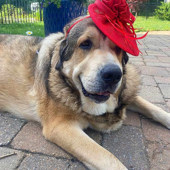 August
