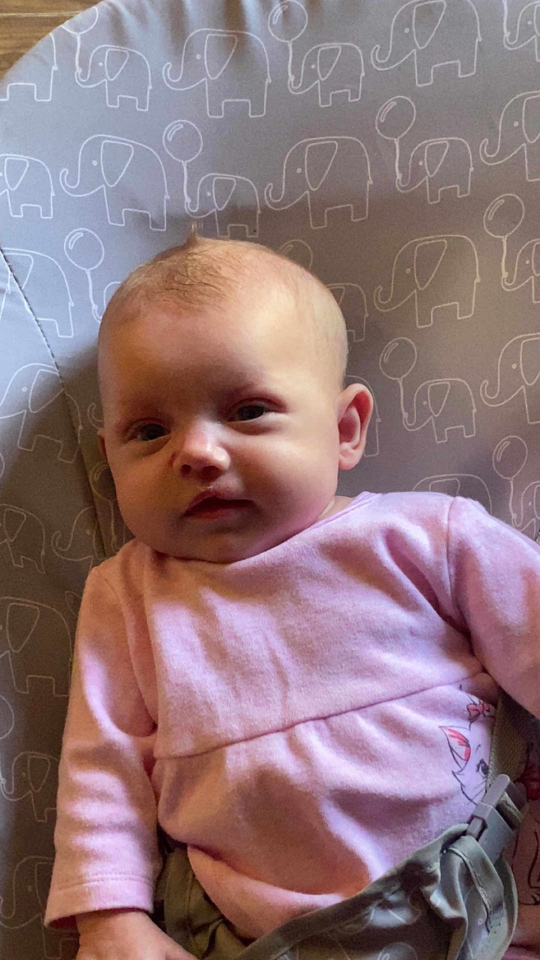 Gypsi-Ami joined the competition — help win amazing prizes! baby, infant, pink_clothing, gray_seat, elephant_pattern, balloon_pattern, face, head, child, person, sitting, indoors, curious_expression, soft_light, clothing, seatbelt, strap, closeup, portrait, young_child