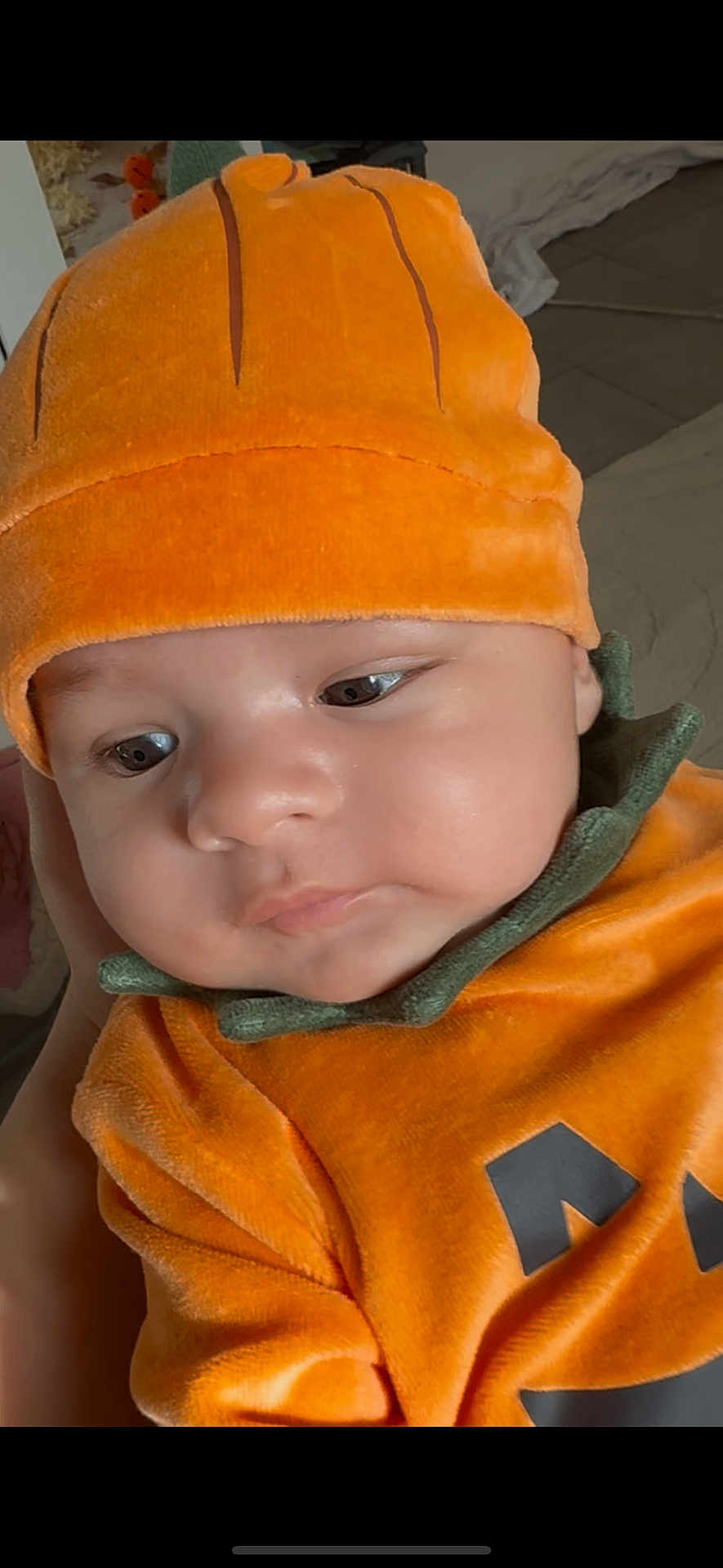 Domenik a rejoint le concours — aidez-le/la à gagner de superbes lots ! baby, infant, pumpkin_costume, orange, hat, cute, portrait, child, costume, holiday, halloween, face, closeup, soft_lighting, indoor, expression, person, seasonal, festive, apparel