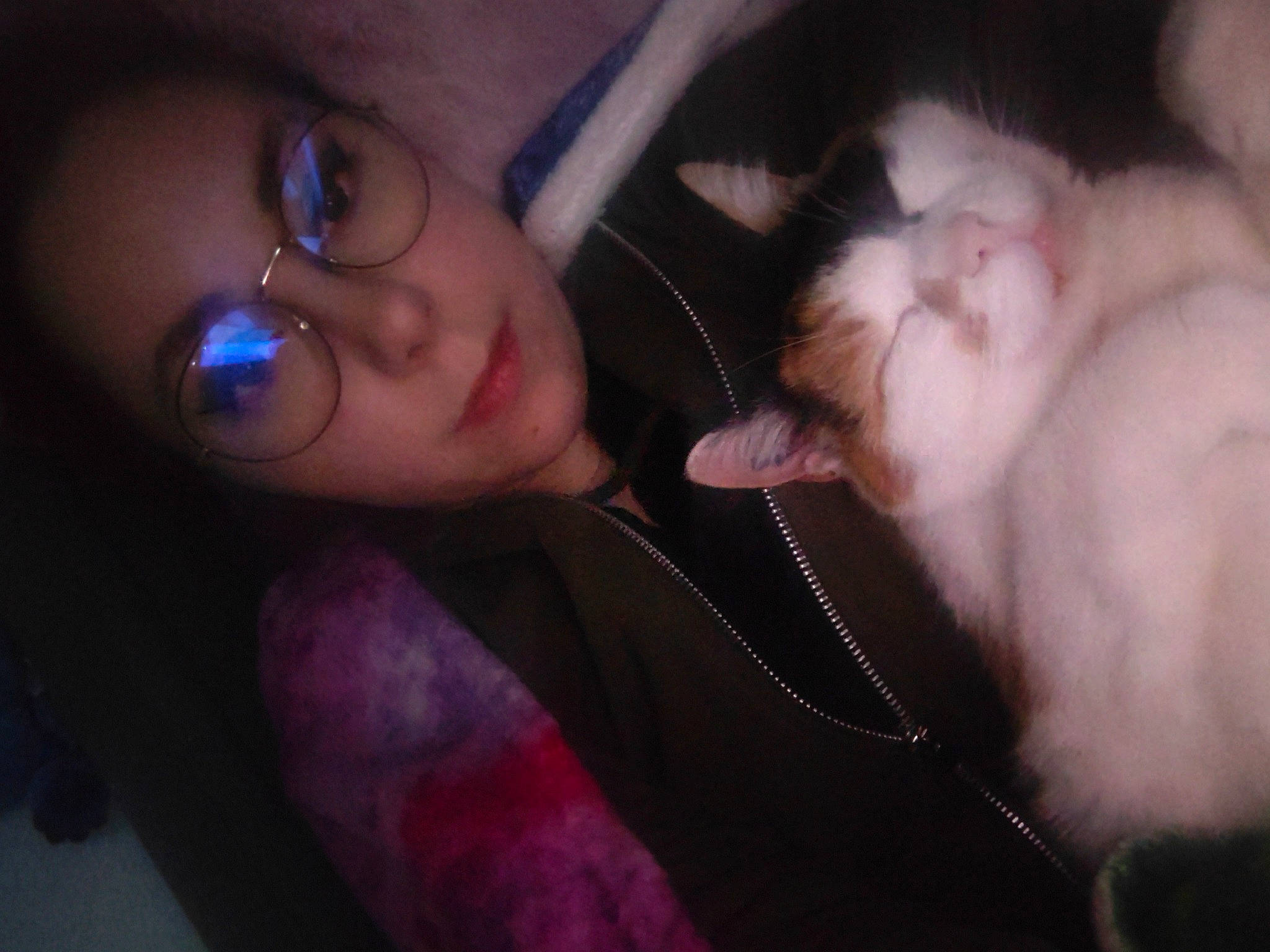 Chipie participe au concours pour gagner de l'argent avec cette photo : audio_equipment, companion_dog, ear, eyelash, eyewear, felidae, finger, flash_photography, gesture, glasses, happy, iris, jaw, lip, mouth, neck, nose, skin, vision_care, whiskers