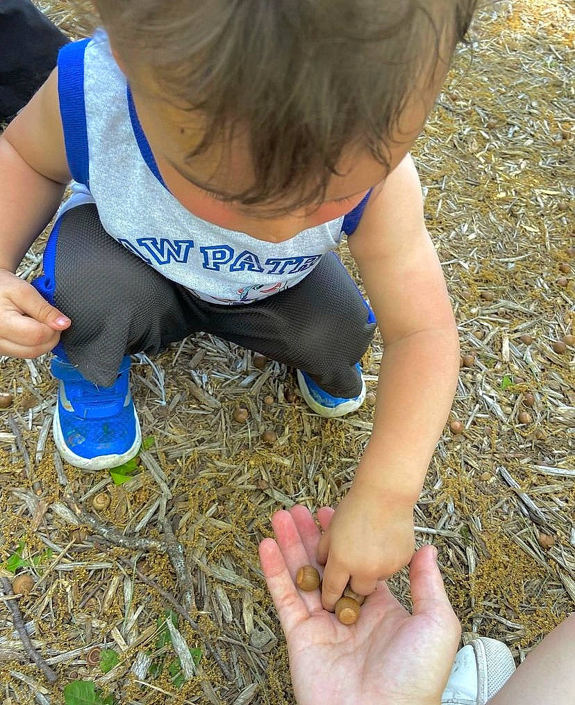Kingston is registered to the contest to win money with this photo: adaptation, baby_toddler_clothing, electric_blue, finger, foot, fun, gardening, grass, grass_family, human_leg, nail, nature, people_in_nature, person, play, soil, t_shirt, thigh, thumb, toddler