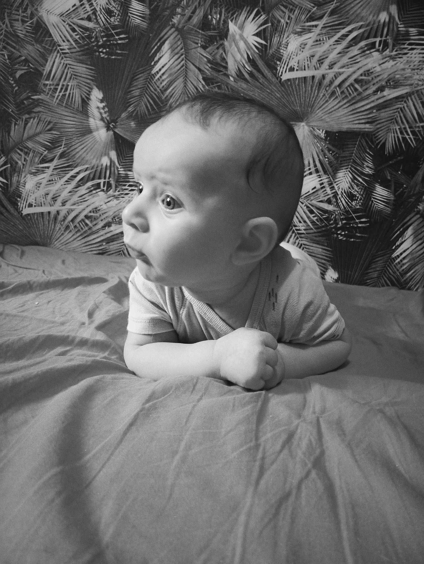 Lowen a rejoint le concours — aidez-le/la à gagner de superbes lots ! baby, infant, child, black_and_white, bed, blanket, face, curious, portrait, indoors, wallpaper, pattern, hands, head, eyes, clothing, propped_up, young, cute, expression