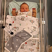 Matthew participe au concours pour gagner de l'argent avec cette photo : baby, bassinet, bed, blanket, child, cozy, cute, elephant_pattern, hospital, infant, newborn, peaceful, plush_toy, portrait, resting, sleeping, soft, swaddled, toy, wrapped