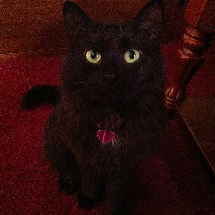 Smokey