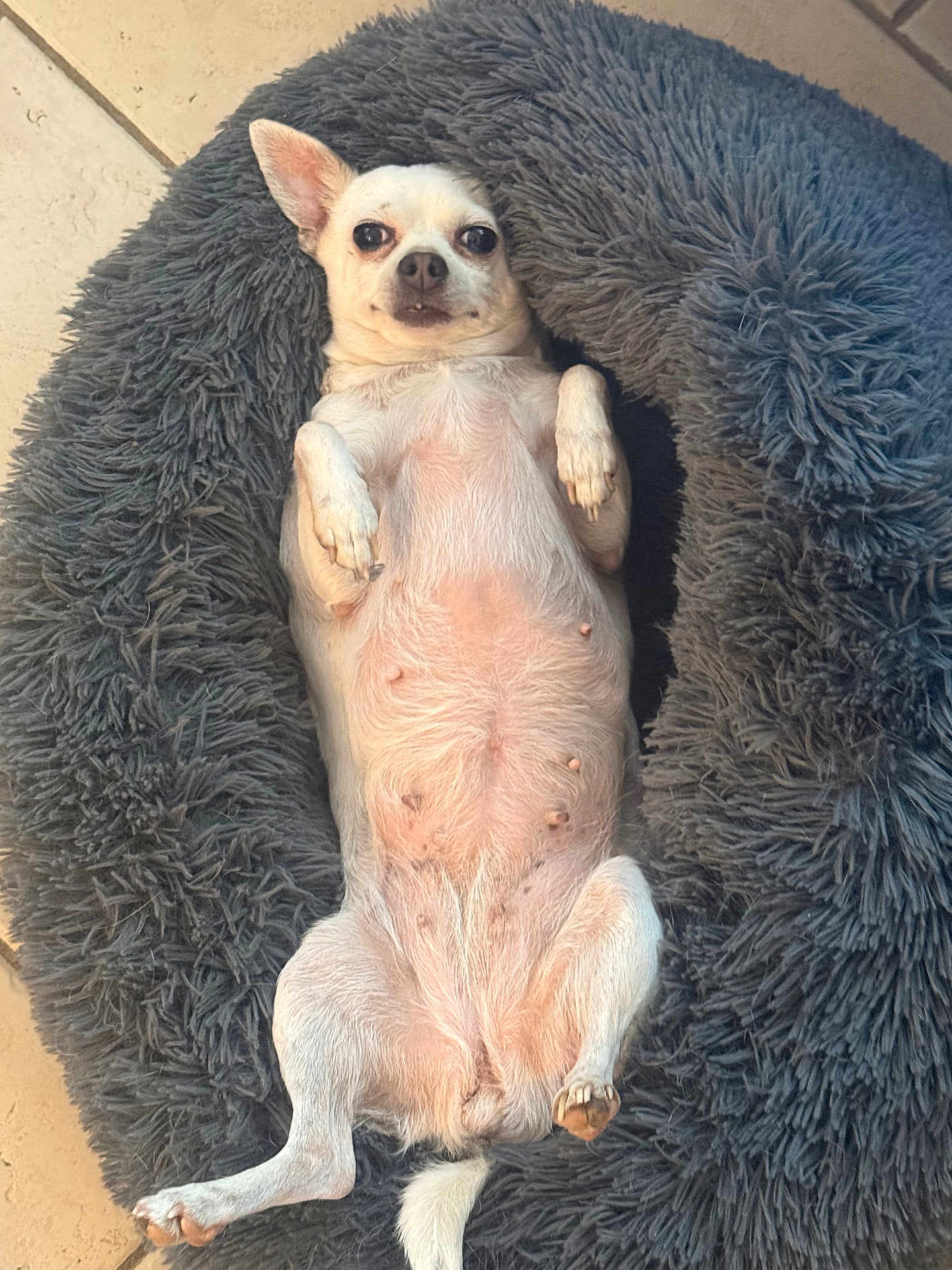 Fiona