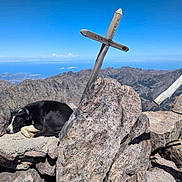 Orsu a rejoint le concours — aidez-le/la à gagner de superbes lots ! adventure, animal, blue_sky, cross, daylight, dog, landscape, mountain, nature, outdoor, peaceful, pet, resting, rock, scenic, sky, sleeping, summit, travel, wilderness