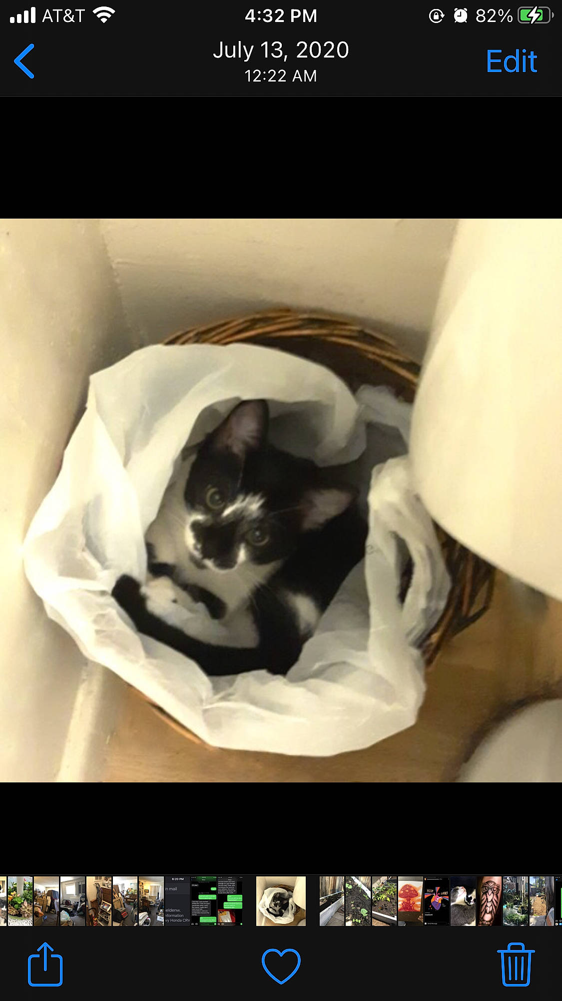 Eleanor Rigby is registered to the contest to win money with this photo: carnivore, cat, cat_supply, comfort, felidae, font, fur, linens, multimedia_software, organism, photo_caption, photograph, product, room, screenshot, small_to_medium_sized_cats, snapshot, whiskers