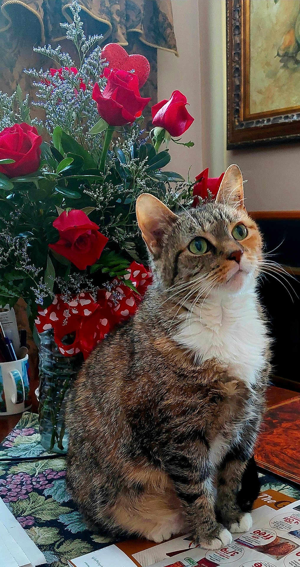Maia
