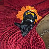 Peanut joined the competition — help win amazing prizes! dog, puppy, black_and_white, small_dog, pet, animal, costume, orange_outfit, bow, polka_dot, blanket, red_blanket, couch, cushion, indoors, portrait, lying_down, alert, cute, home_decor