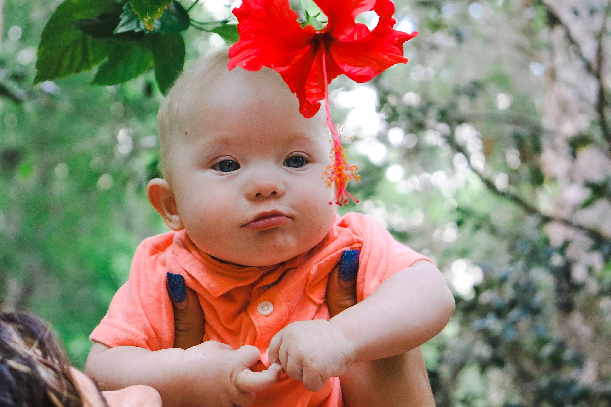 Elijah joined the competition — help win amazing prizes! baby, baby_toddler_clothing, child, coquelicot, costume_hat, flower, flowering_plant, grass, happy, peach, people_in_nature, person, petal, plant, portrait_photography, toddler, tree