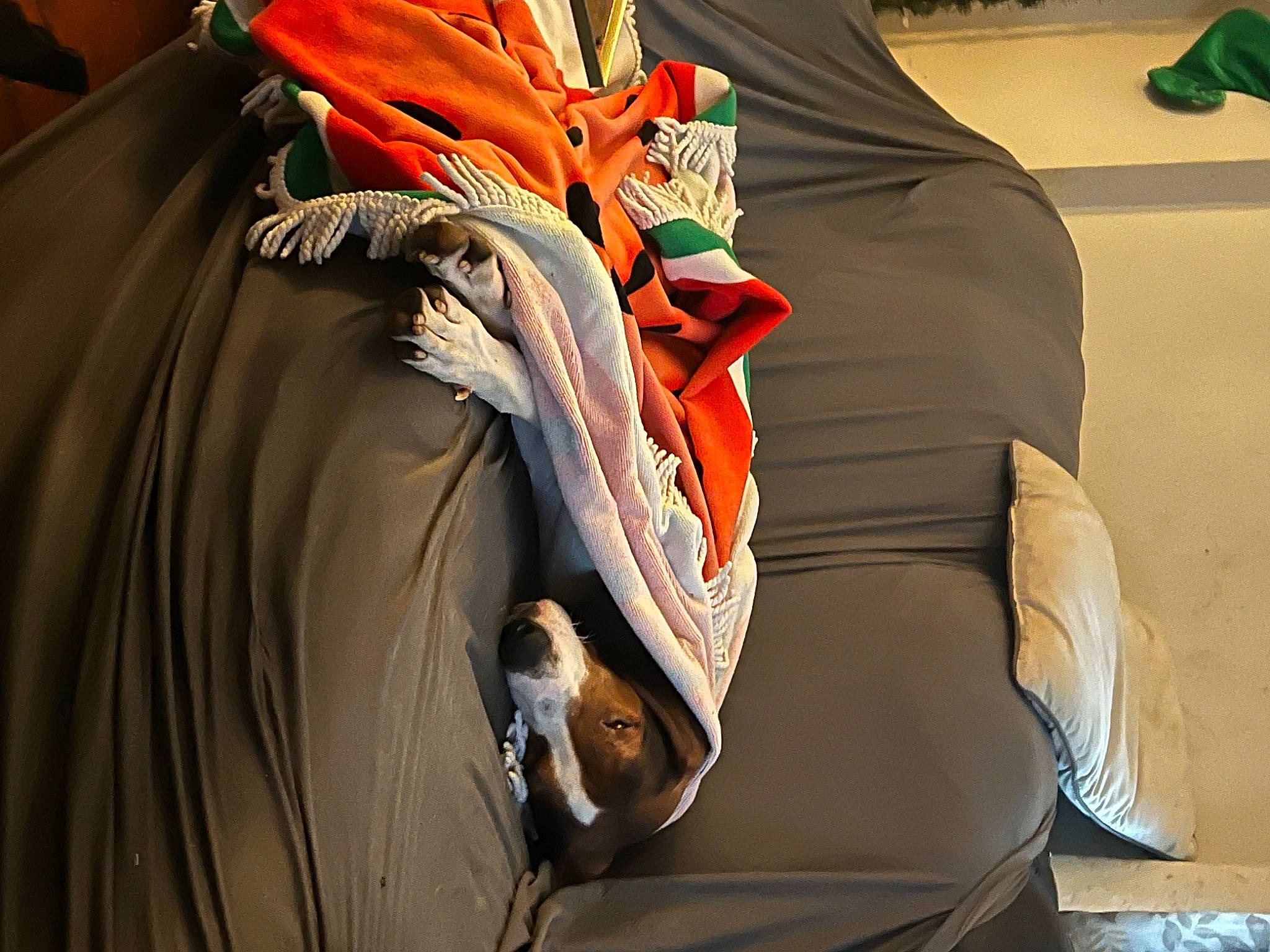 Copper is registered to the contest to win money with this photo: automotive_design, bag, carmine, collar, comfort, fashion_accessory, fashion_design, formal_wear, human_leg, jersey, leather_jacket, orange, peach, personal_protective_equipment, sleeve, sportswear, t_shirt, top, uniform, workwear