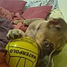 Athena participe au concours pour gagner de l'argent avec cette photo :
