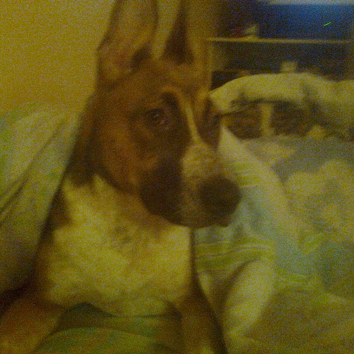 Athena