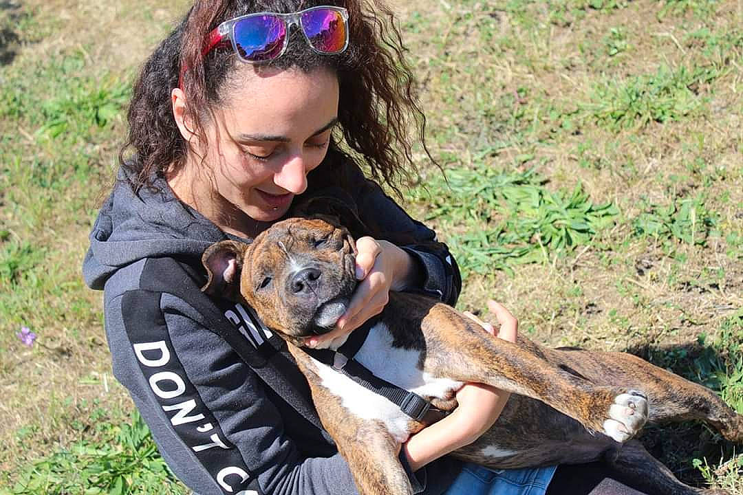 Pirate a rejoint le concours — aidez-le/la à gagner de superbes lots ! canidae, carnivore, dog, dog_breed, fawn, mountain_cur, person, puppy