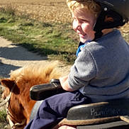 Nicolas a rejoint le concours — aidez-le/la à gagner de superbes lots ! bridle, equestrianism, halter, horse, horse_tack, landscape, ranch, recreation, rein