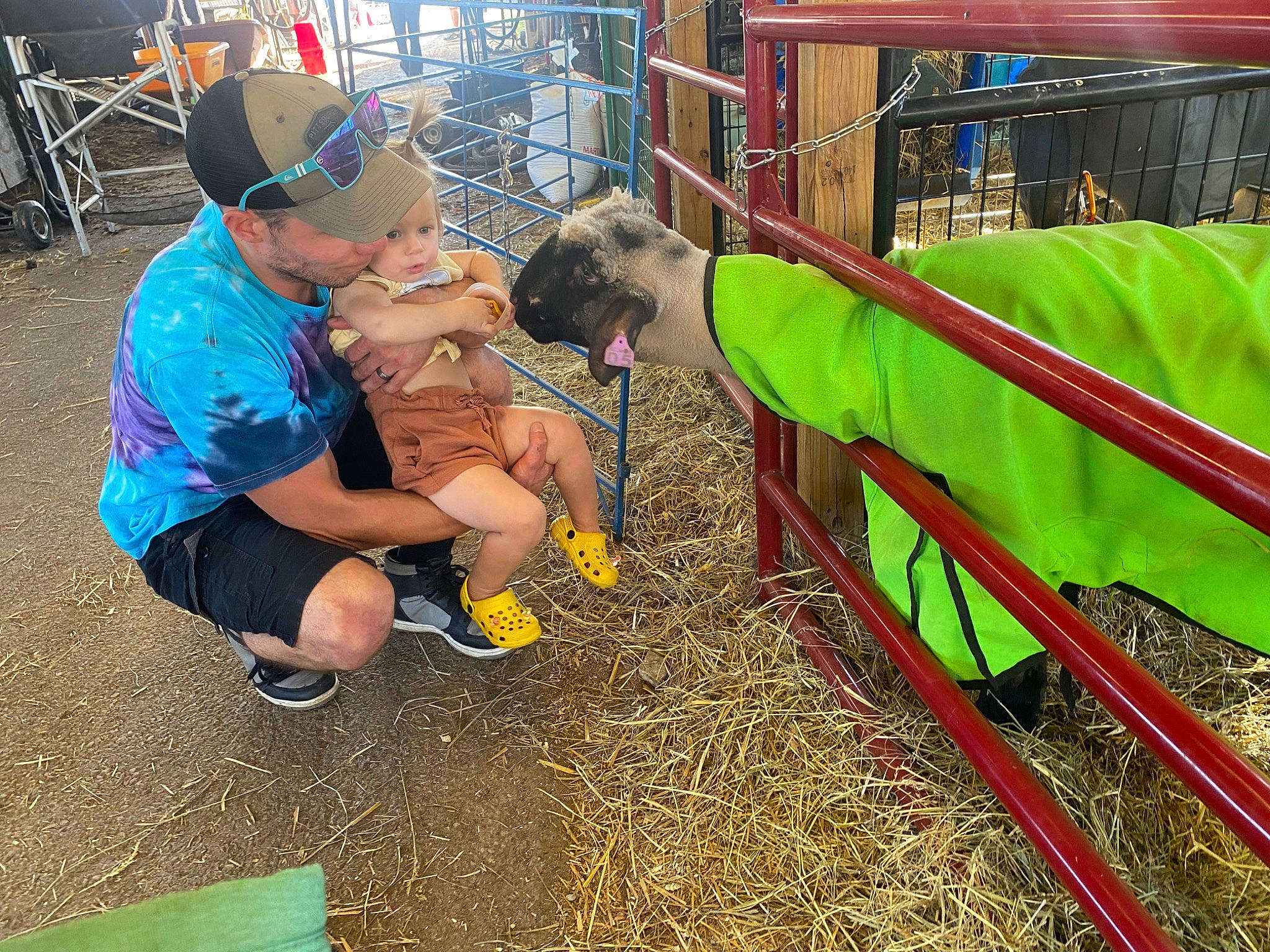 Lacey is registered to the contest to win money with this photo: baseball_cap, boot, cap, child, city, event, fence, fun, grass, happy, hat, headwear, landscape, leisure, livestock, person, play, recreation, shorts, soil