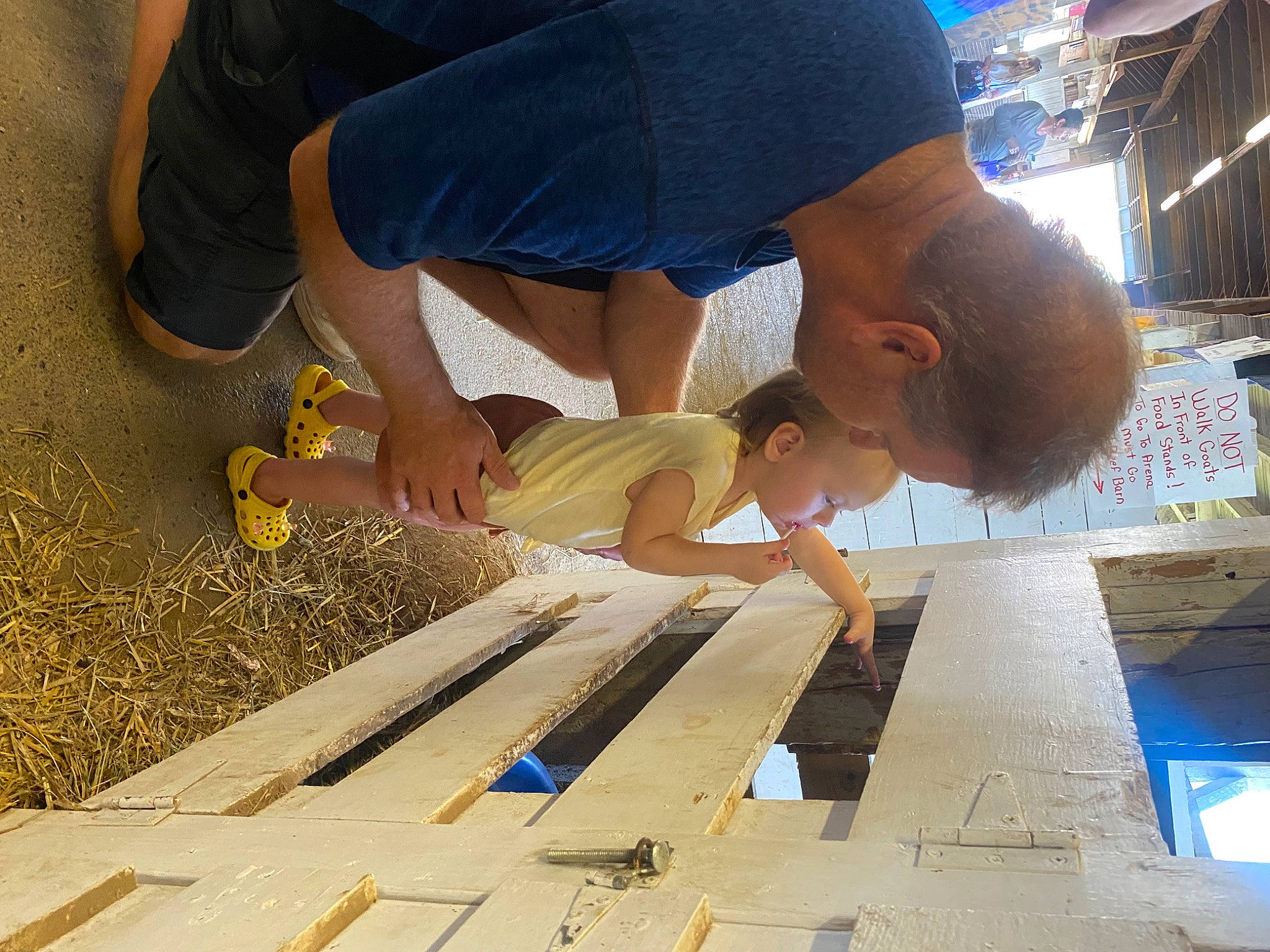 Lacey is registered to the contest to win money with this photo: adaptation, child, composite_material, engineering, finger, flooring, fun, hardwood, indoor_games_and_sports, leisure, nail, person, play, recreation, soil, symmetry, t_shirt, toddler, wood, wood_stain