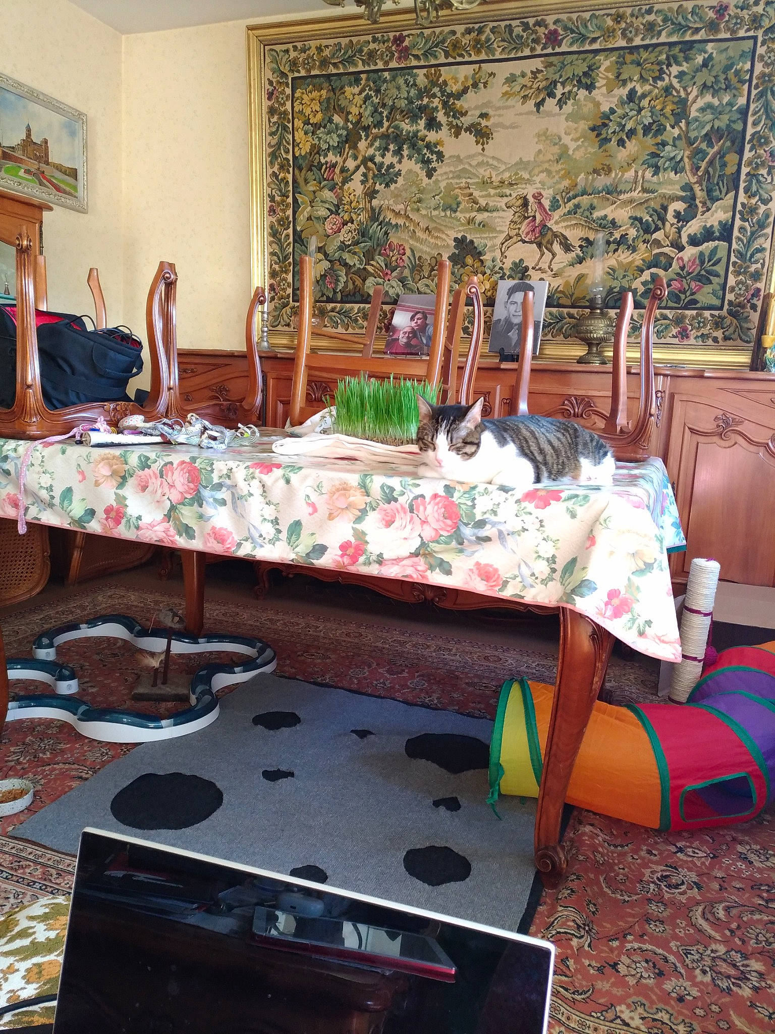 Kiwi participe au concours pour gagner de l'argent avec cette photo : art, chair, decoration, event, floor, flooring, furniture, gas, hardwood, interior_design, linens, living_room, ornament, picture_frame, property, rectangle, table, tablecloth, textile, wood