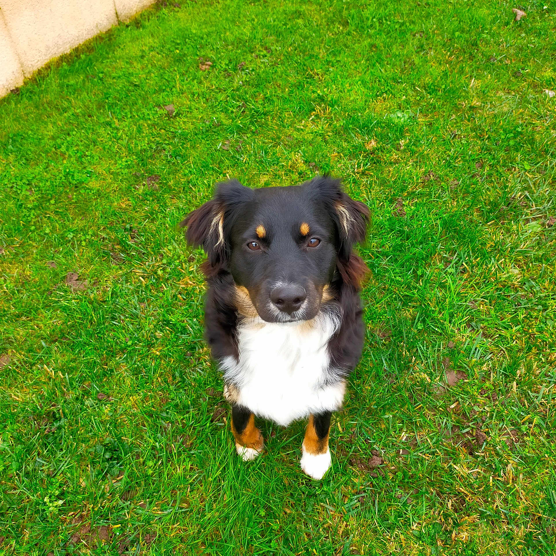 Sinatra