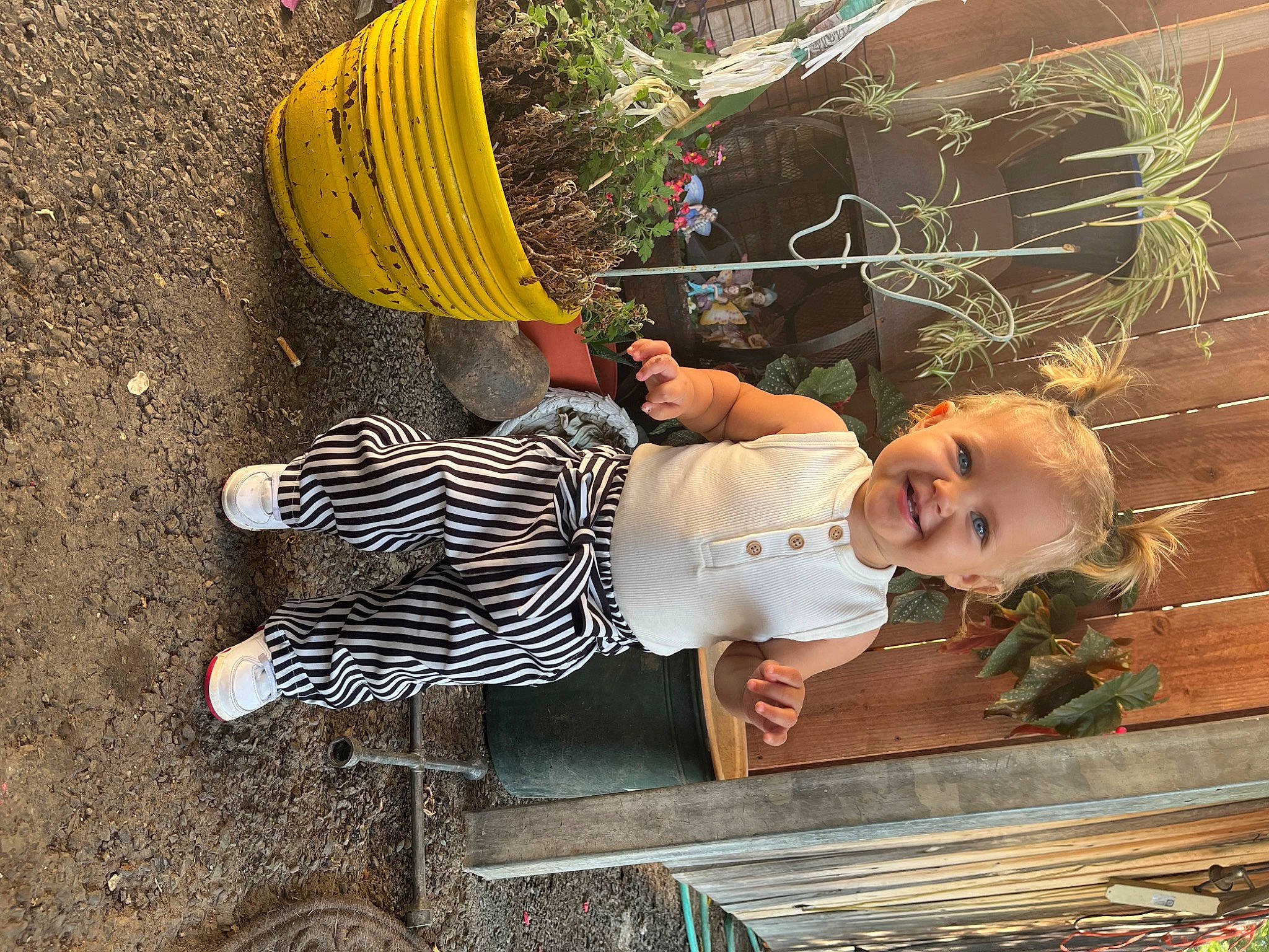 Rylee joined the competition — help win amazing prizes! baby, baby_toddler_clothing, child, fun, grass, happy, joy, leisure, people_in_nature, person, plant, play, sandal, shoe, sitting, smile, toddler, wood