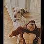 dog, golden_retriever, plush_toy, gorilla_toy, wooden_floor, indoor, pet, animal, toy, hand, curious, sitting, brown, light, vintage_filter, flooring, furniture, door, house, cute
