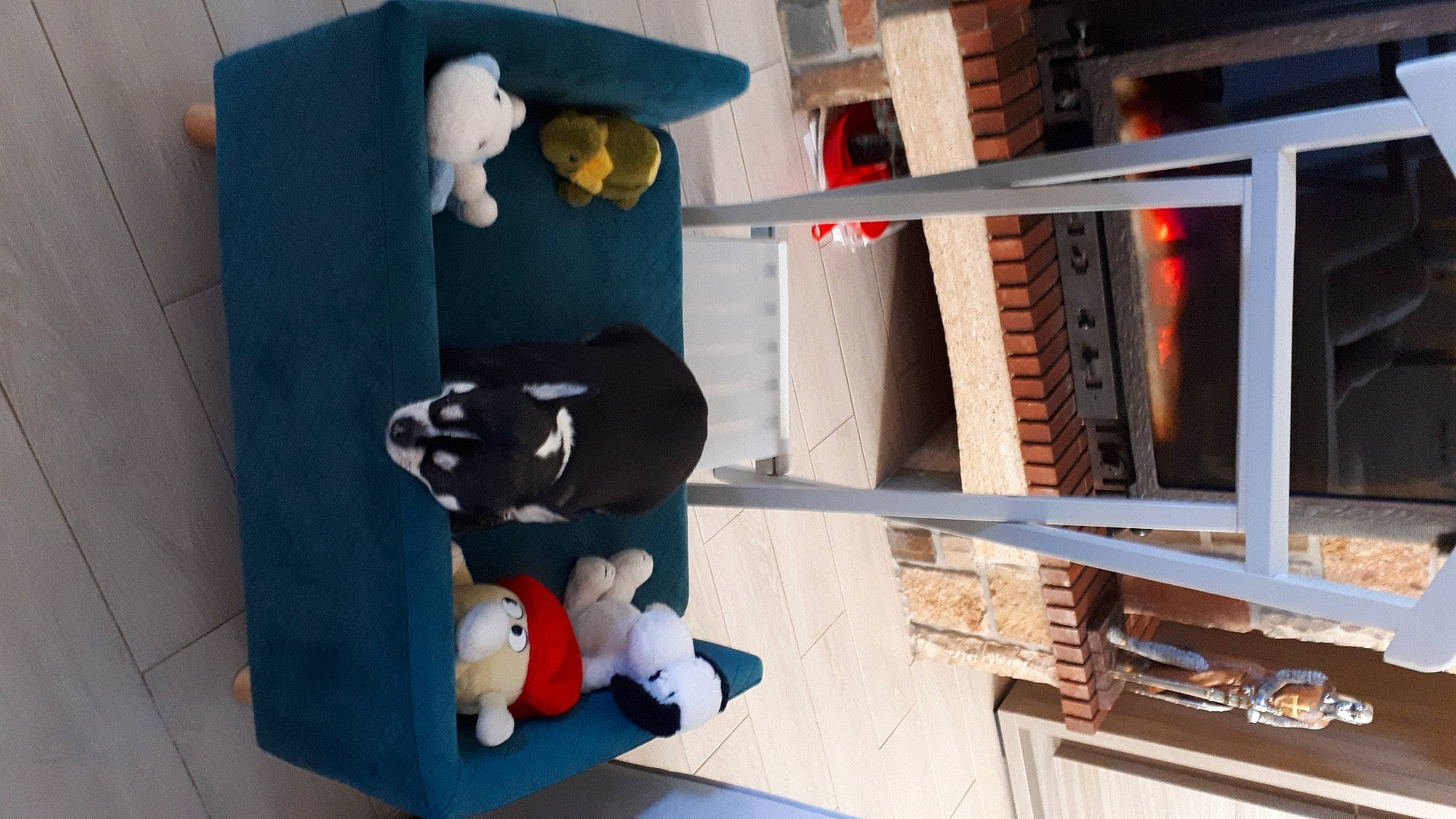 Shanel a rejoint le concours — aidez-le/la à gagner de superbes lots ! baby_toys, carmine, comfort, fur, hardwood, hat, house, mammal, panda, plush, room, shelving, stuffed_toy, teddy_bear, toy, vertebrate, wood