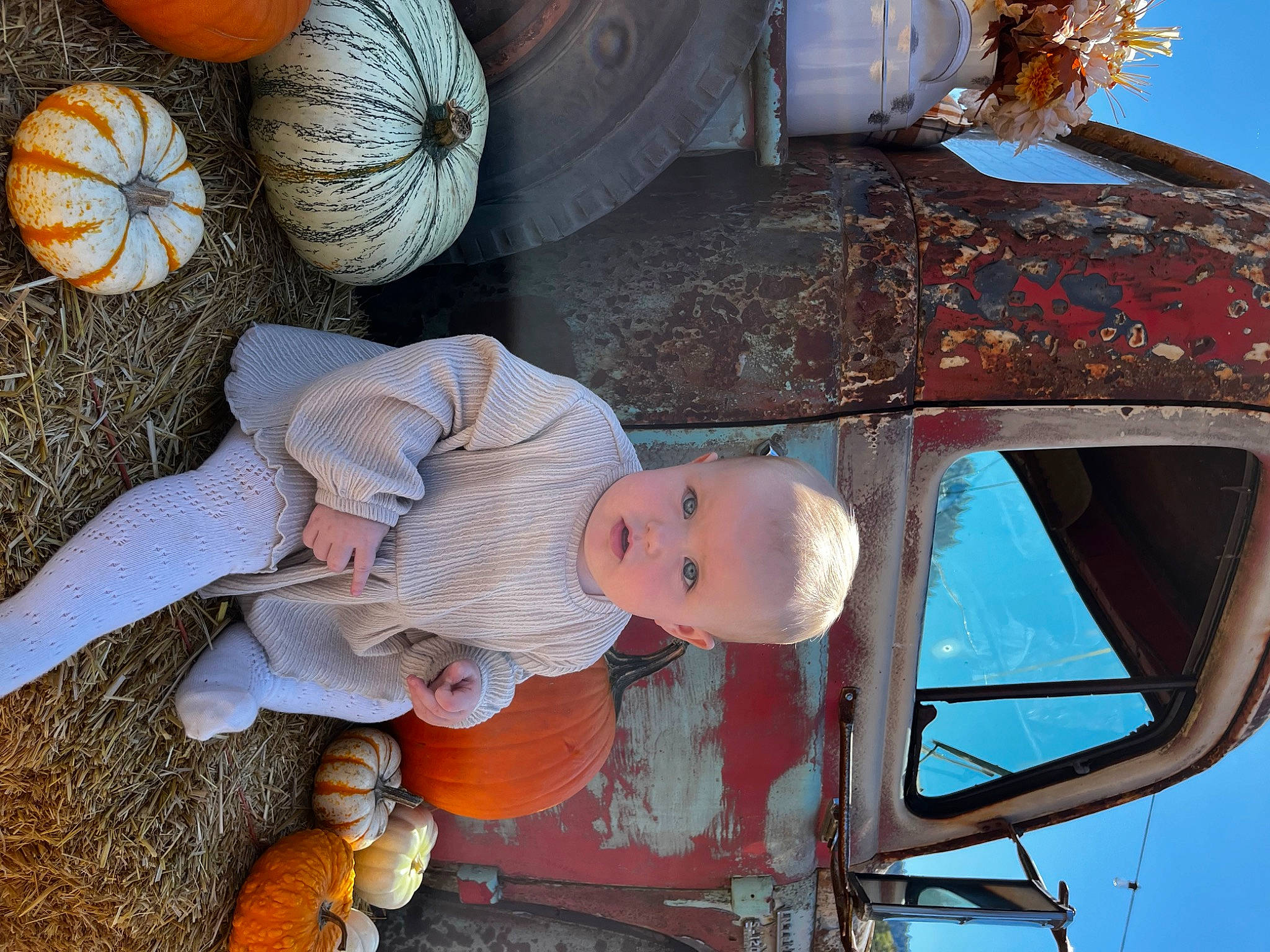 Klary joined the competition — help win amazing prizes! auto_part, calabaza, cucurbita, gourd, hat, motor_vehicle, natural_foods, orange, organ, person, plant, pumpkin, squash, tire, tree, vegetable, vehicle, vehicle_door, wheel, winter_squash