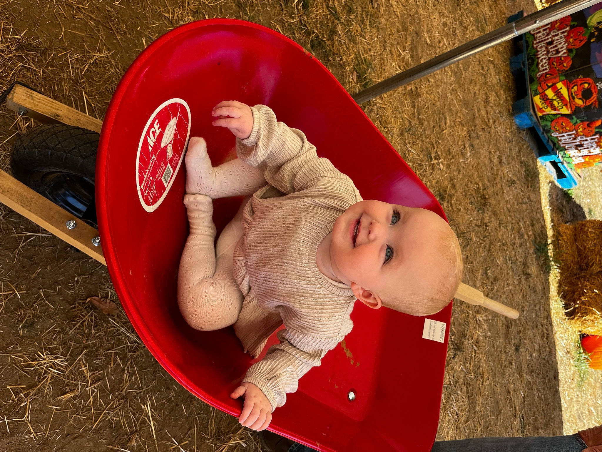 Klary is registered to the contest to win money with this photo: baby, baby_products, baby_toddler_clothing, carmine, child, comfort, foot, fun, grass, happy, human_body, joy, leg, leisure, person, play, recreation, sitting, smile, soil