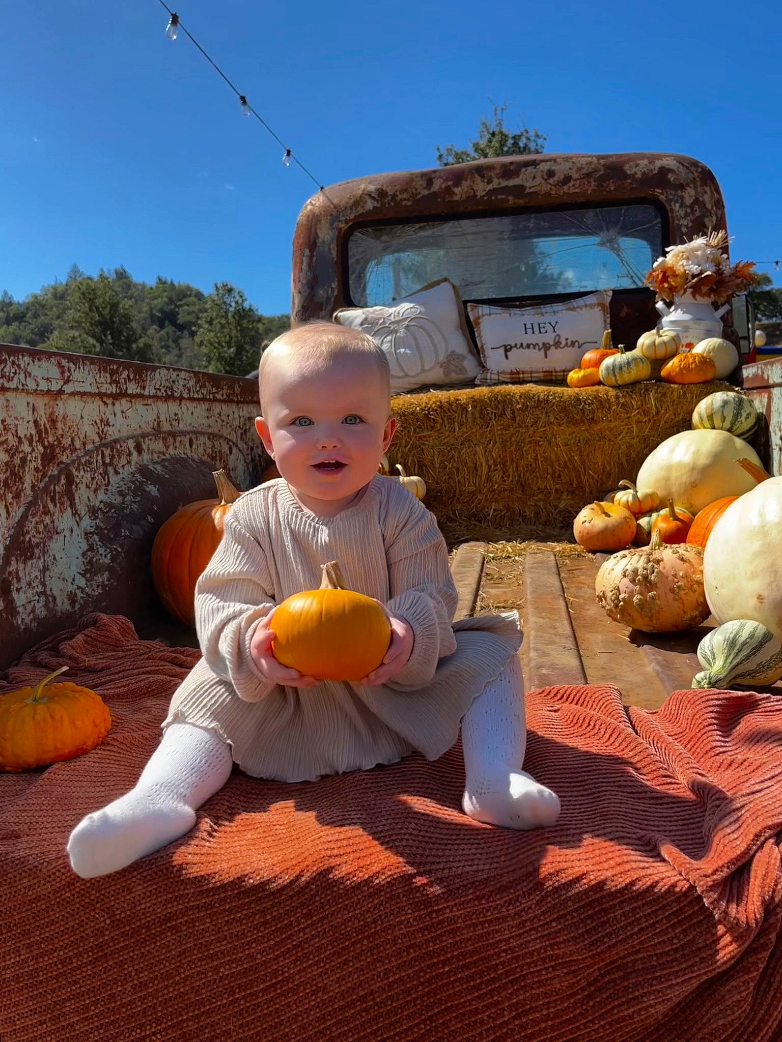 Klary is registered to the contest to win money with this photo: baby_toddler_clothing, calabaza, child, cucurbita, fun, gourd, grass, happy, hat, leisure, orange, person, plant, pumpkin, sitting, sky, squash, toddler, tree, vegetable