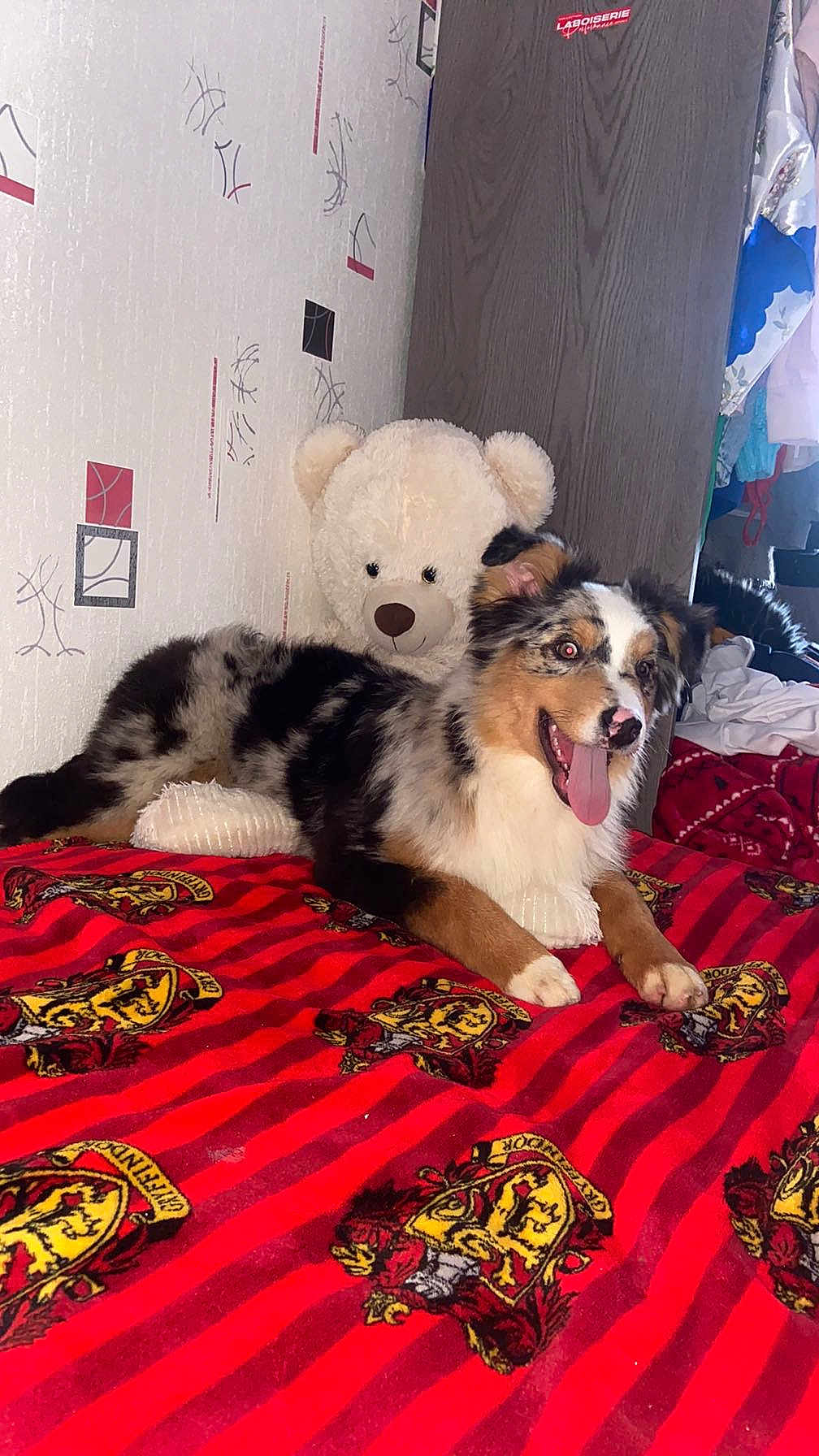 Loki