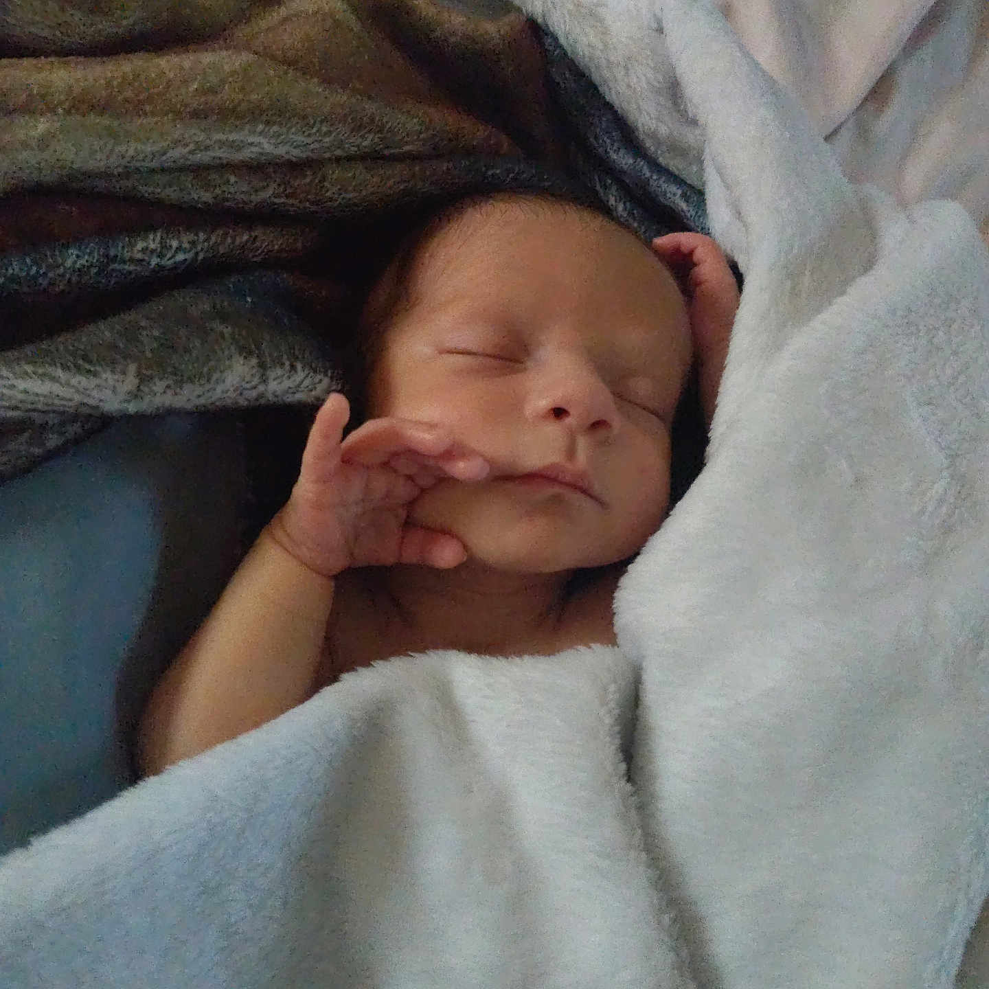 Elijah is registered to the contest to win money with this photo: newborn, baby, sleeping, blanket, cozy, soft, infant, wrapped, peaceful, resting, hand, face, bed, comfort, cute, warm, skin, portrait, child, indoors