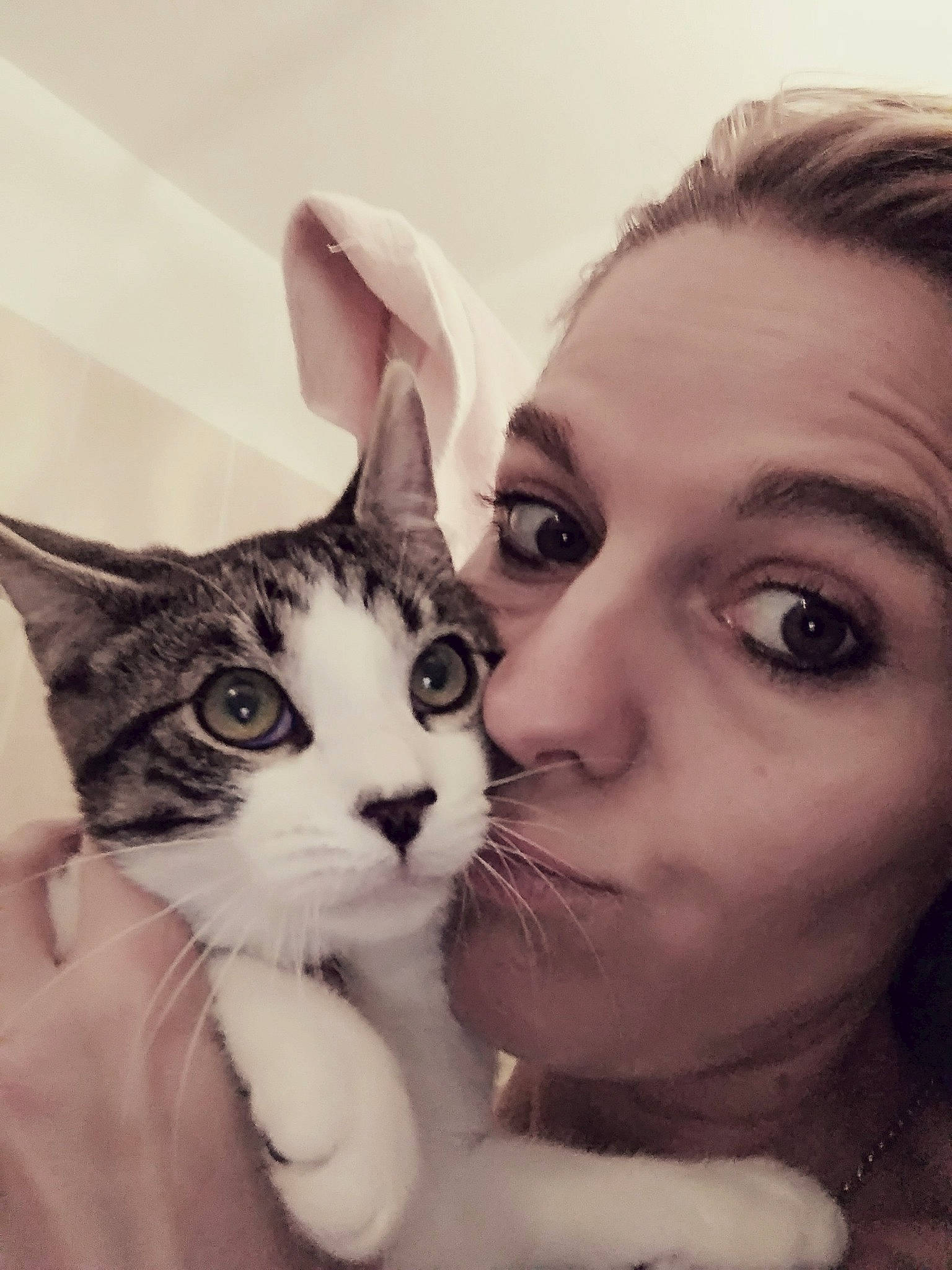 Bombay a rejoint le concours — aidez-le/la à gagner de superbes lots ! carnivoran, cat, cat_like_mammal, domestic_short_haired_cat, ear, eye, face, fur, girl, head, kitten, mammal, nose, organ, person, skin, small_to_medium_sized_cats, smile, snout, vertebrate