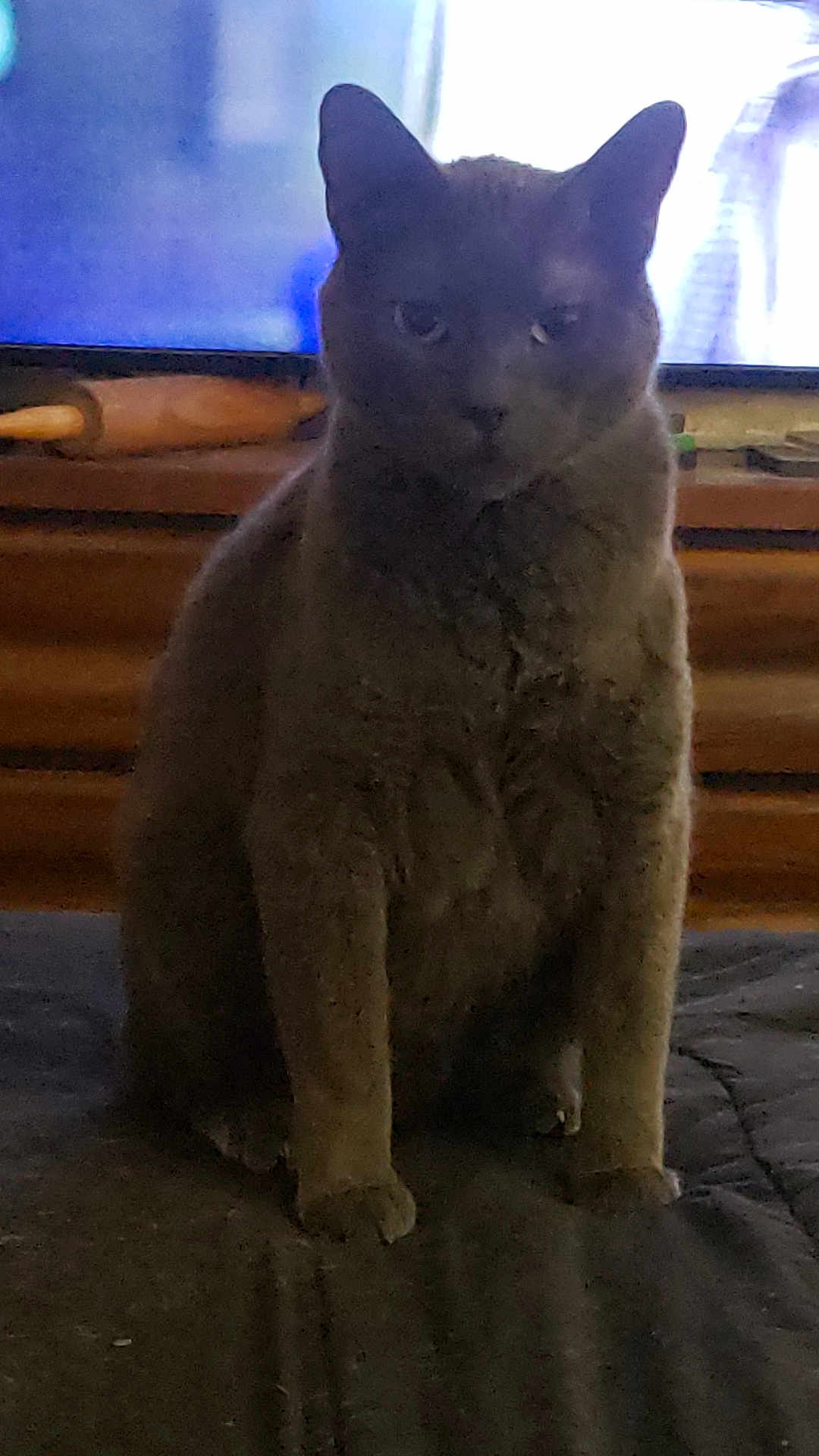 Smokey