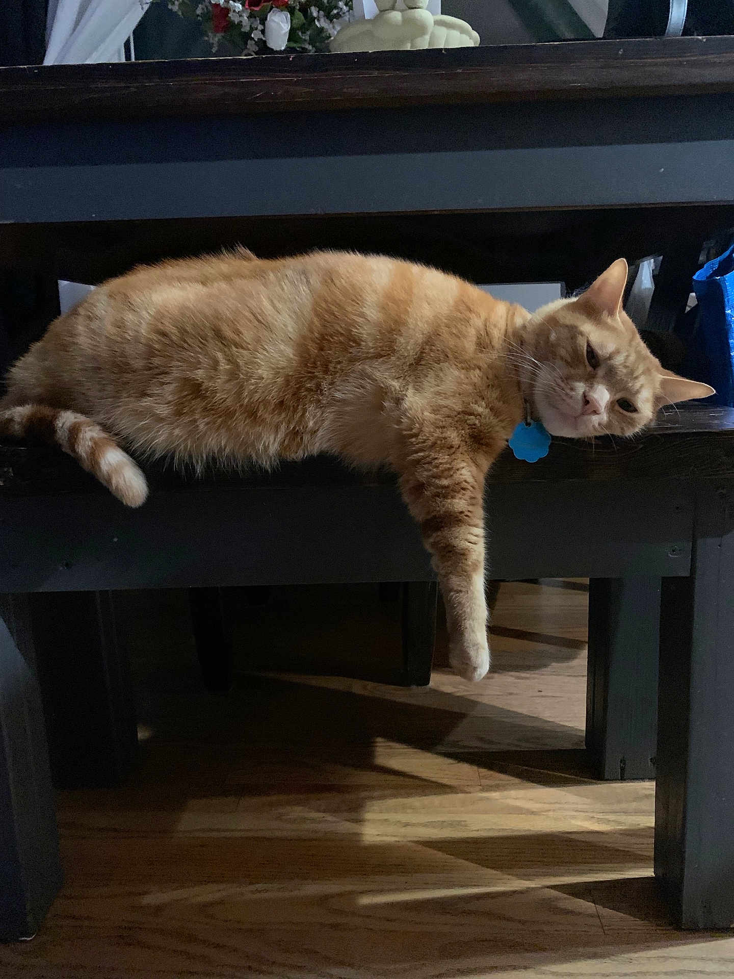 Garfield