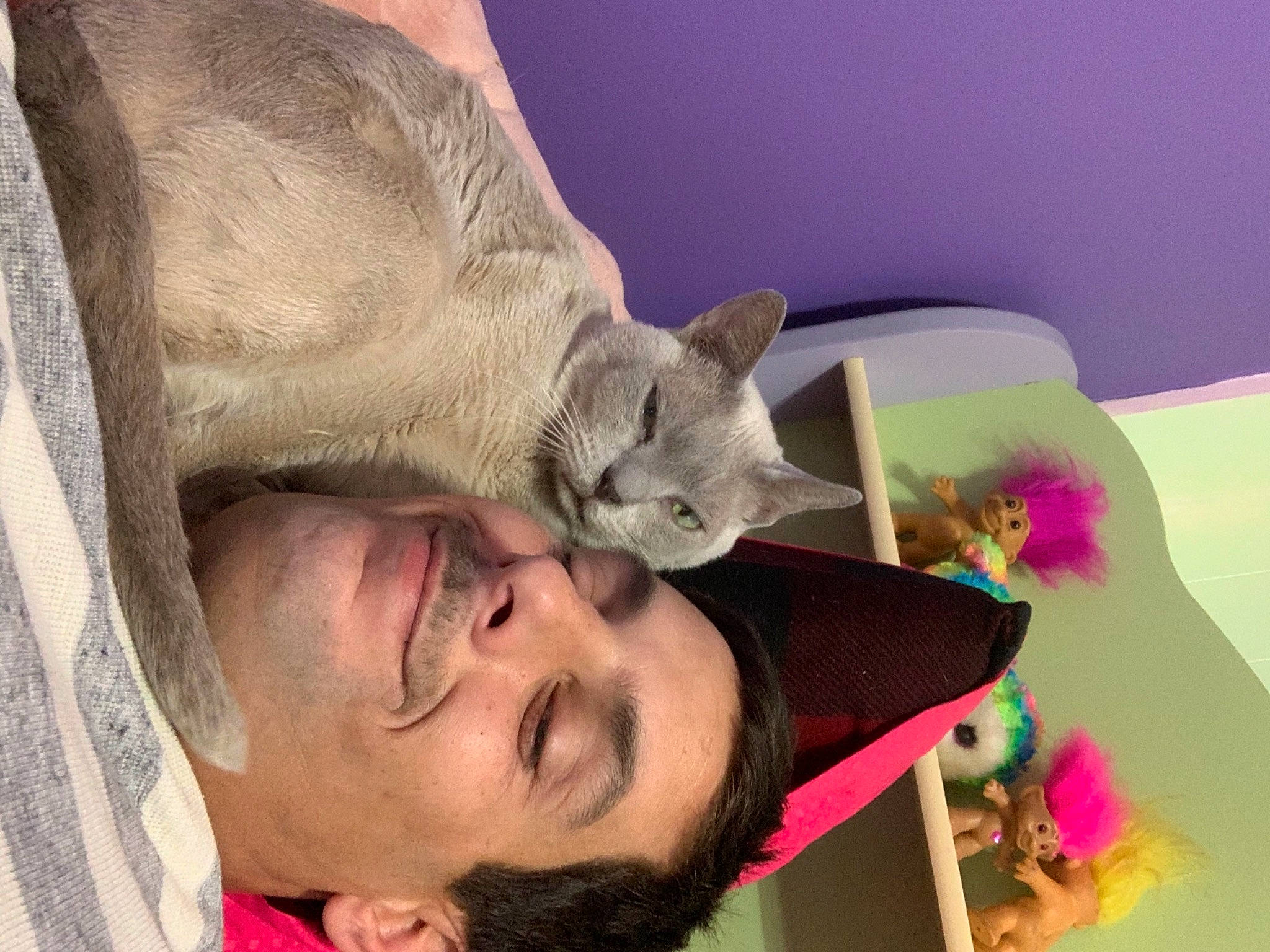 Ace joined the competition — help win amazing prizes! beard, canidae, carnivore, cat, comfort, domestic_short_haired_cat, ear, fawn, felidae, fur, happy, nap, paw, sleep, small_to_medium_sized_cats, snout, tail, whiskers