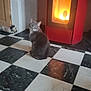 animal, black_and_white_floor, cat, checkered_floor, cozy, domestic, door, floor, furniture, gray_cat, home, indoor, looking_back, pet, quiet, red_stove, relaxing, stove, stuffed_toy, warm_light