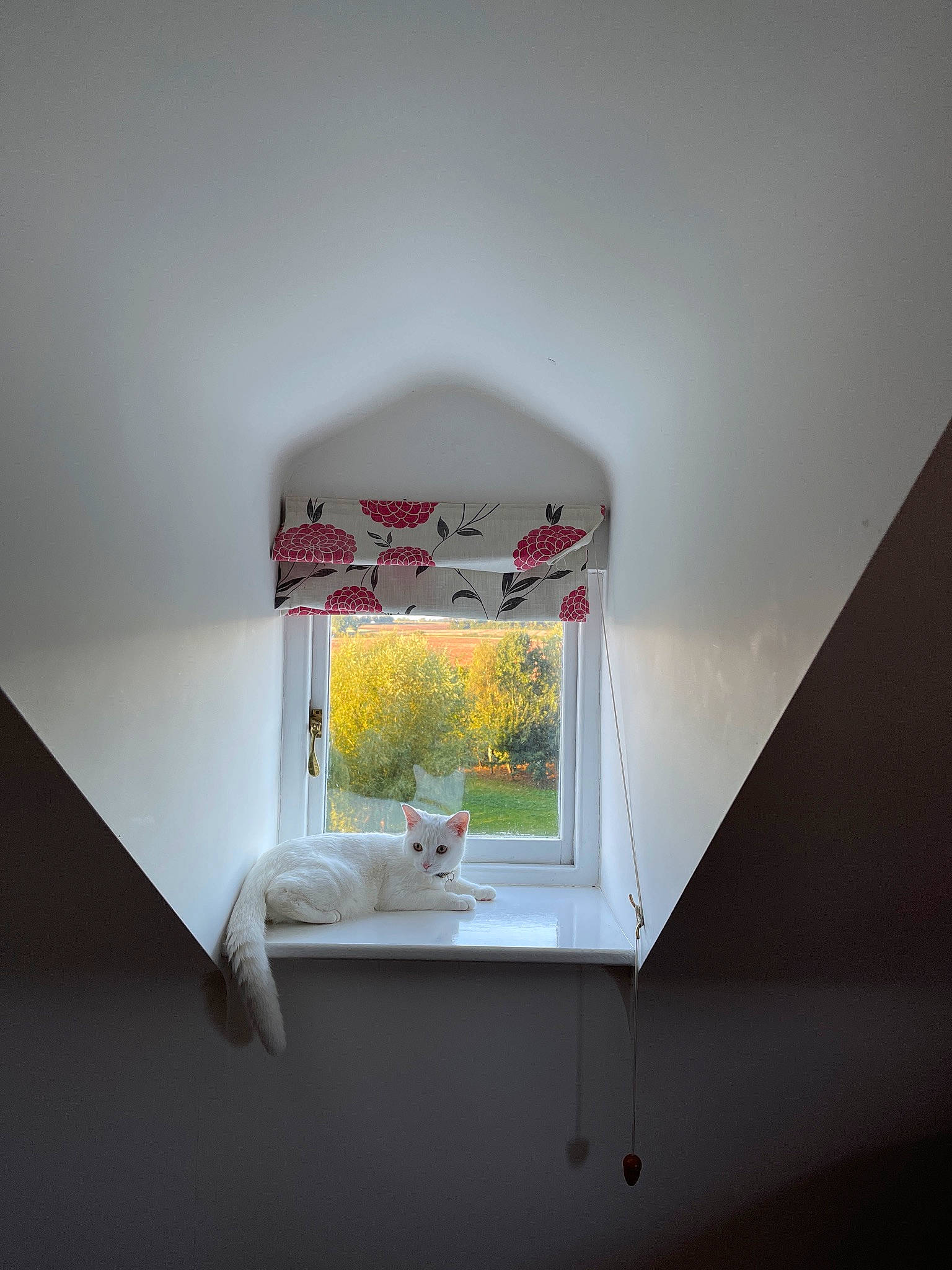 Piglet is registered to the contest to win money with this photo: art, building, ceiling, chair, concrete, daylighting, flooring, glass, hardwood, house, houseplant, light_fixture, plant, rectangle, shade, symmetry, tints_and_shades, tree, window, wood
