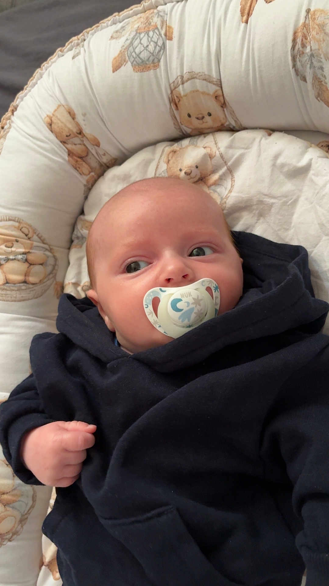 Thiam a rejoint le concours — aidez-le/la à gagner de superbes lots ! baby, infant, newborn, pacifier, hoodie, blanket, bedding, pillow, teddy_bear_pattern, face, eyes, hand, cute, portrait, indoor, soft_toys, sleeping_nest, clothing, skin, relaxing