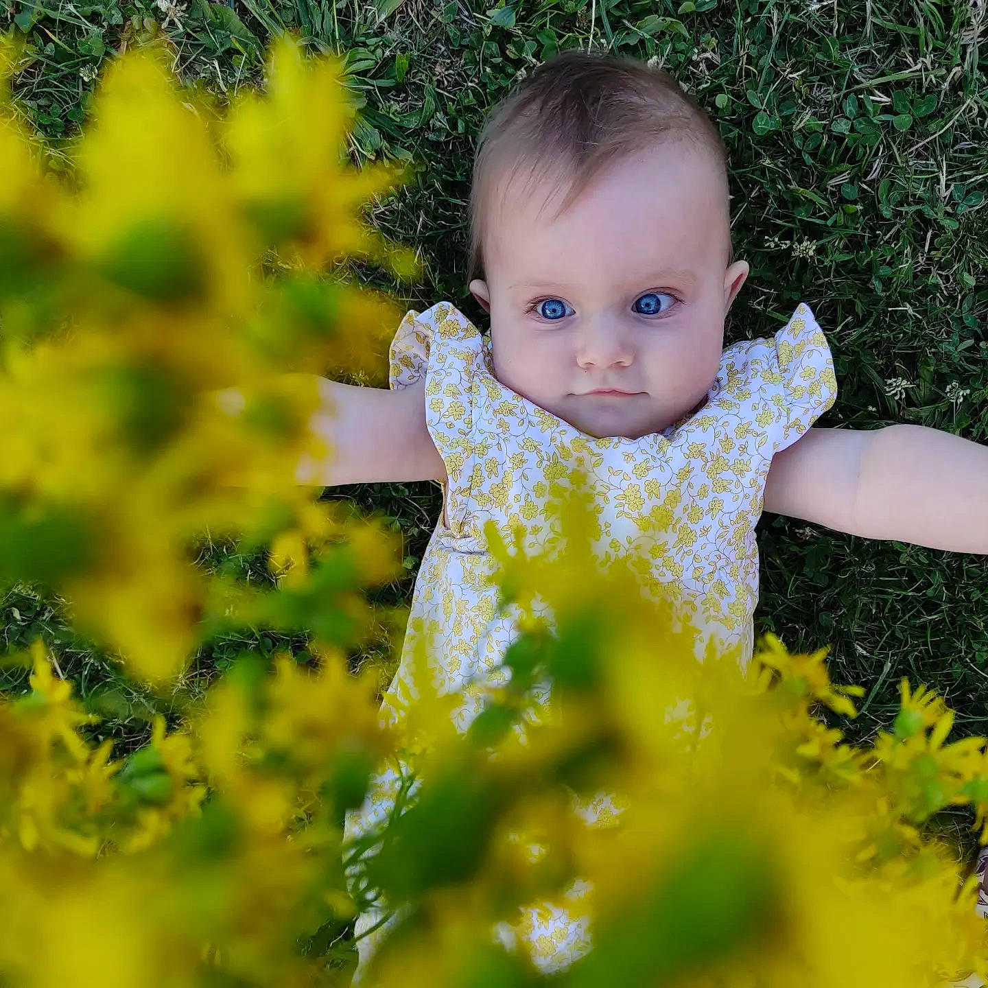 Irys participe au concours pour gagner de l'argent avec cette photo : baby, baby_toddler_clothing, child, eye, facial_expression, grass, grass_family, grassland, happy, iris, leaf, meadow, natural_environment, natural_landscape, people_in_nature, person, plant, standing, toddler, tree