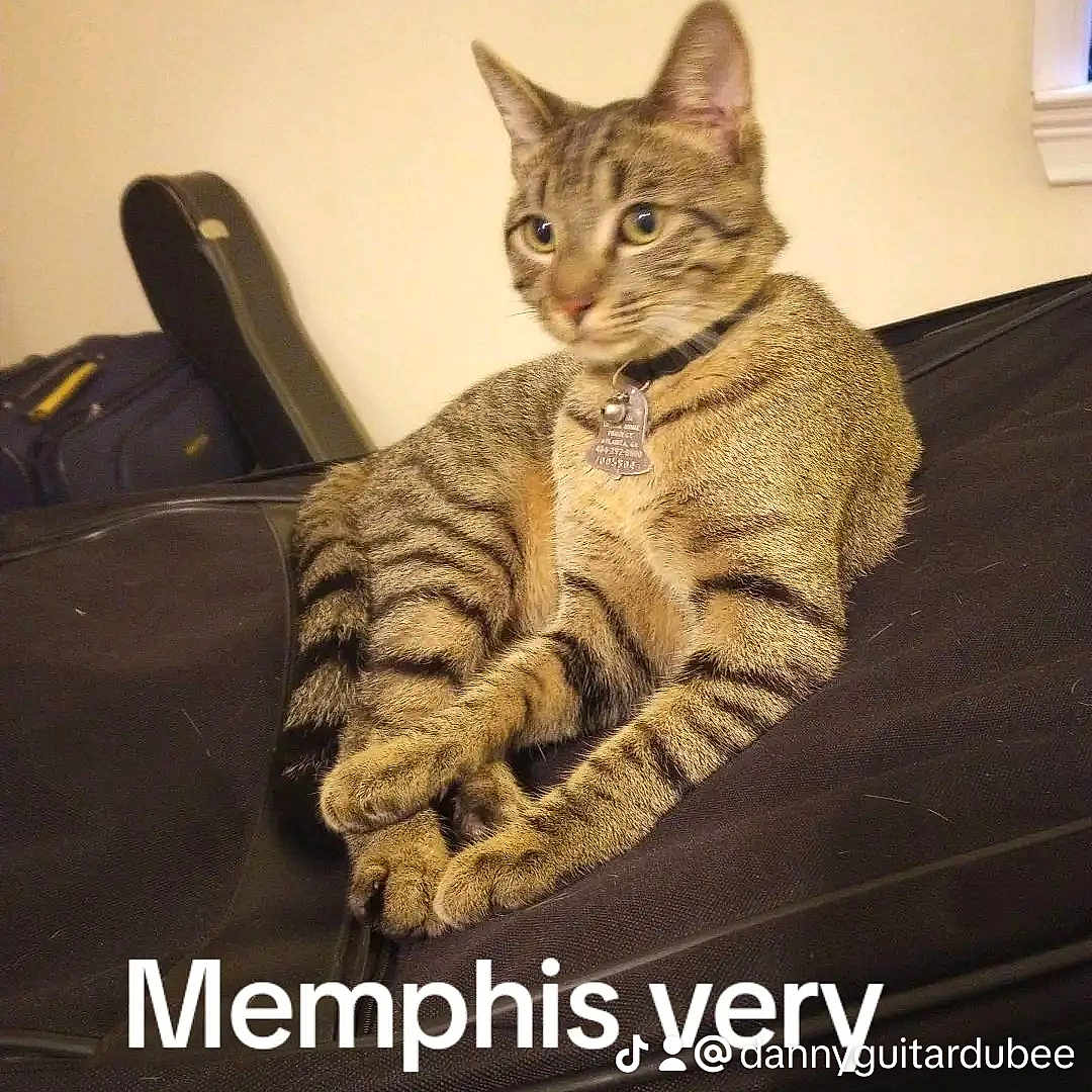 Memphis