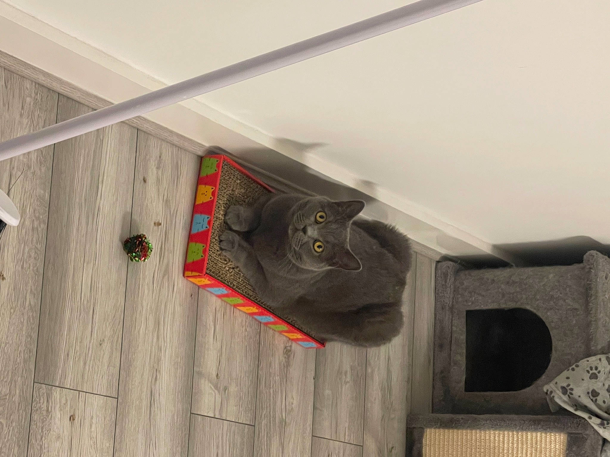 Dappy is registered to the contest to win money with this photo: audio_equipment, building, ceiling, circle, door, electrical_supply, electrical_wiring, facade, floor, flooring, grey, hardwood, house, pattern, plywood, room, siding, tile, wood, wood_stain