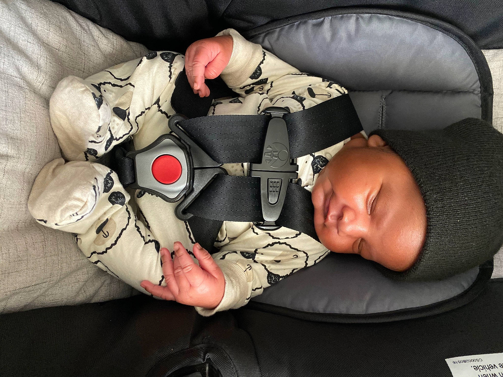 Knowledge is registered to the contest to win money with this photo: baby_in_car_seat, comfort, headwear, nap, person, sleep