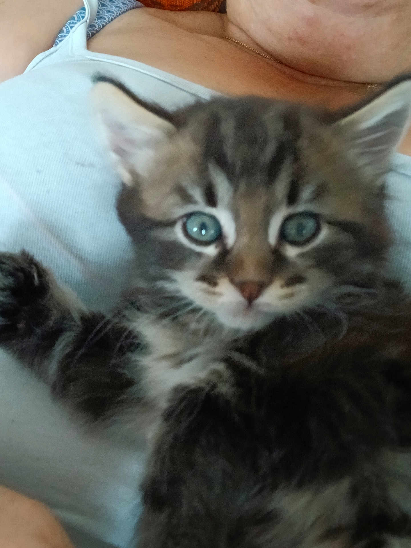 Boubou