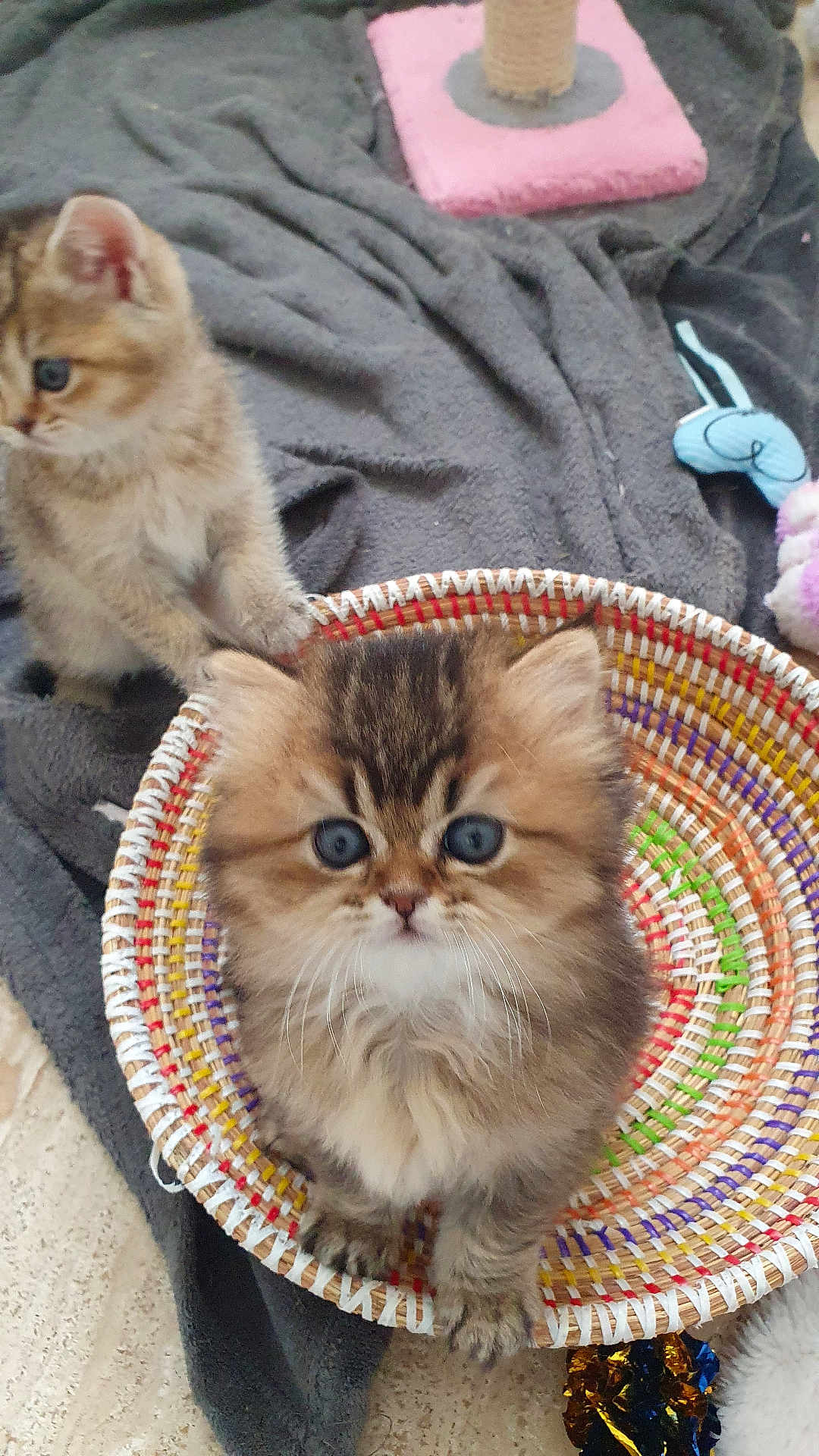Aby